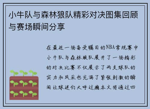 小牛队与森林狼队精彩对决图集回顾与赛场瞬间分享