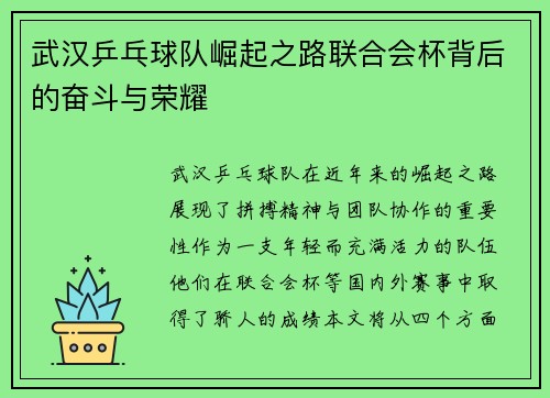 武汉乒乓球队崛起之路联合会杯背后的奋斗与荣耀