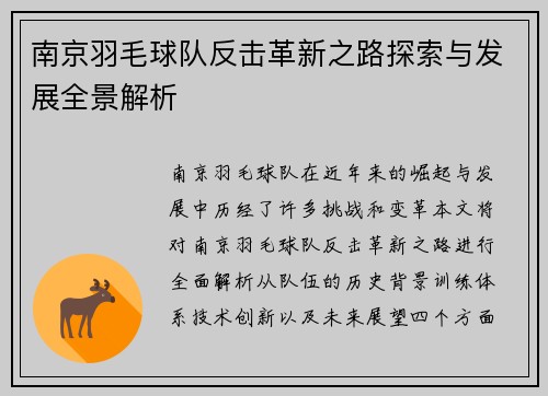 南京羽毛球队反击革新之路探索与发展全景解析