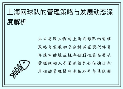 上海网球队的管理策略与发展动态深度解析